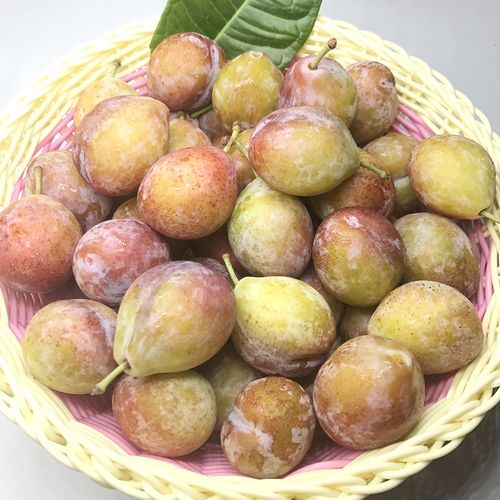 歌慕智利进口西梅水果新鲜脆红李子3斤装包邮非新疆法兰西